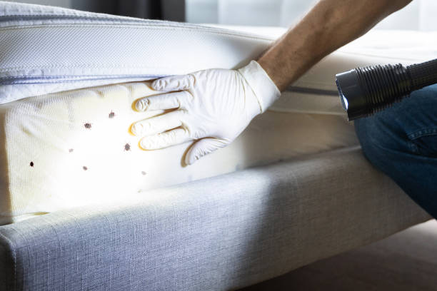 Best Affordable Pest Control Services  in Palermo, NJ