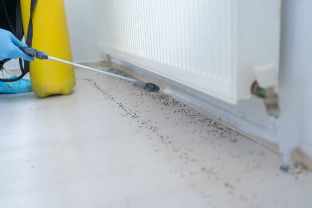 Best Spider Control Near Me  in Palermo, NJ