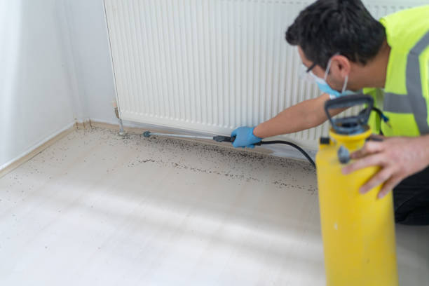 Best Residential Pest Control  in Palermo, NJ